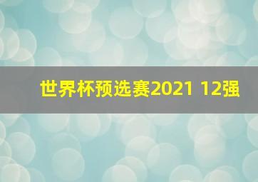 世界杯预选赛2021 12强